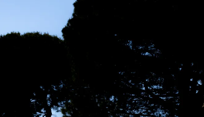 May 16, 2025 - R04 - Imola - Photo 13